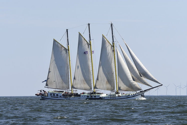 Groepsafbeelding